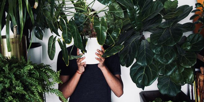 Mann mit schwarzem Longsleeve versteckt sich hinter einem weißen Blumentopf.