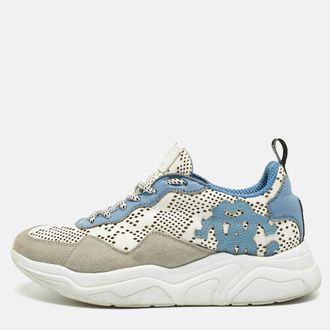 Roberto Cavalli Multicolor Suede And Leather Lace Up Sneakers
