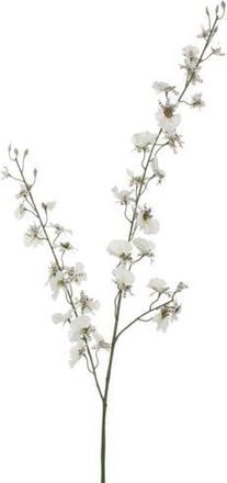 MiCa Decorations kunstbloem Oncidium
