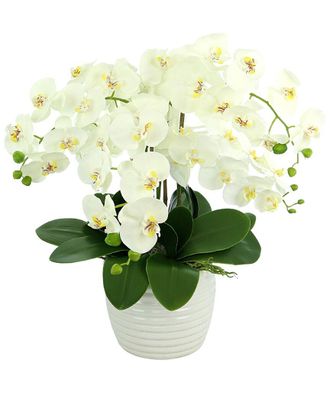 Creative Displays Inc. White Orchid Floral Arrangement