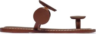 Bernardo New Moon Toe Loop Sandal in Mahogany at Nordstrom, Size 6.5