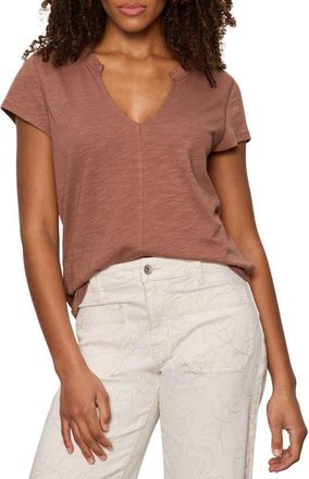 Sanctuary The New Girl Split Neck T-Shirt in Mud Bath Brown at Nordstrom, Size X-Small