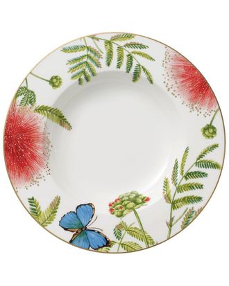 Villeroy & Boch Discontinued Villeroy & Boch Amazonia Anmut Rim Soup