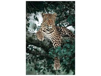 Schubiger M&ouml;bel Digitaldruck auf Glas Leopard im Baum