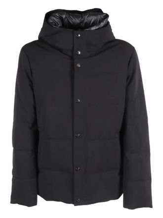 Montecore hooded padded coat - Black