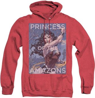 Gildan Justice League of America Princess Of The Amazons Adult Heather Hoodie / Hooded Sweatshirt
