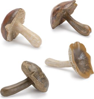 Melrose International Stone Mushroom Shelf Sitter (Set of 12) - Brown, Beige