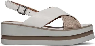 Sangiorgio Donna, Scarpe, Multicolore, 36 EU, new
