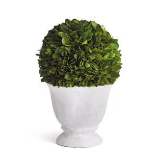 Napa Home & Garden Boxwood Ball Topiary In Pot in Green at Nordstrom, Size Small