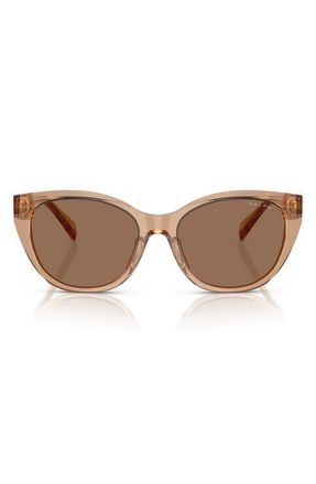 Ralph Lauren RA5324U 56mm Cat Eye Sunglasses in Transparent Brown/brown at Nordstrom