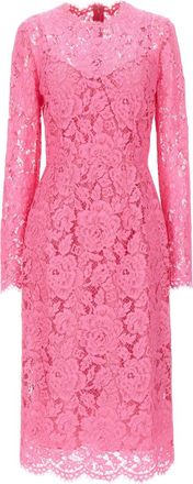 Dolce & Gabbana Light Pink Lace Sheath Dress