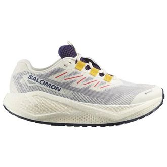 Salomon Aero Blaze 3 Grvl GTX Runningschuhe f&uuml;r Damen | grau
