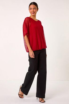 Roman Spot Burnout Detail Mesh Top