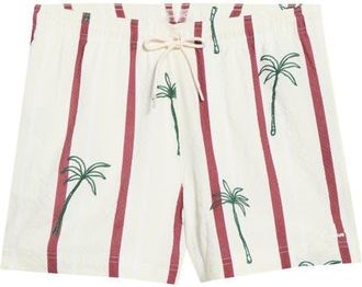 PacSun Palm Embroidered Stripe Swim Trunks in Green/white at Nordstrom, Size X-Large