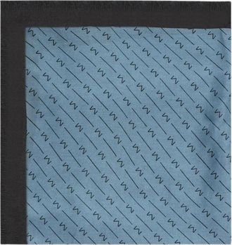 Max Mara Silky Scarves - Dames - Zijden sjaals - Blauw - ONE Size - Accessoires
