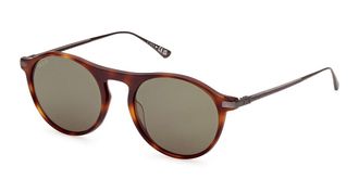 Web Eyewear Web WE0346 52N Mens Sunglasses Tortoiseshell Size 52