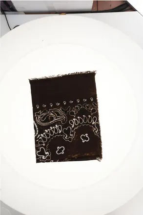 Destin Womens Jil Quadra Bandan Scarf Brown Scarfs