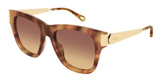 Chlo&eacute; CH0349S 002 Womens Sunglasses Tortoiseshell Size 54