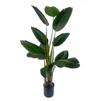 Leaf 150cm UV Traveller Banana Palm Tree in Green