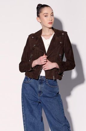 Walter Baker Liz Suede Jacket in Mocha Suede at Nordstrom, Size X-Small