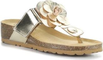 Bos. & Co. Laria Platform Wedge Flip Flop in Gold at Nordstrom, Size 10-10.5Us