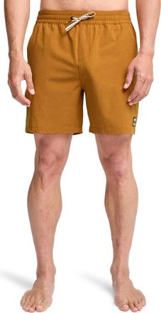 Billabong Boardshorts BILLABONG Every Other Day, Herren, Gr. XL, spice gold, Obermaterial: 72% Microfaser, 20% Walkfrottier, 8% Elasthan;, Hosen Boardshorts