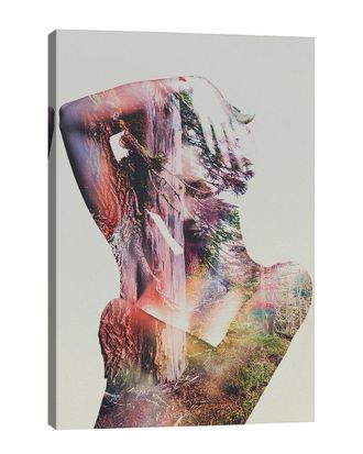 iCanvas Icanvas Wilderness Heart I By Andreas Lie Wall Art