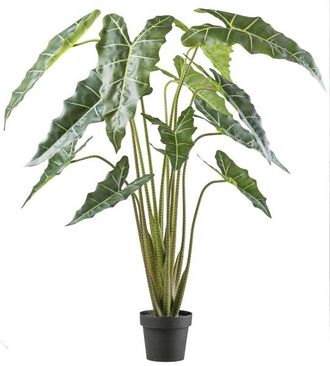 Schubiger M&ouml;bel Kunstpflanzen Alocasia Zebrina Sarian im Kunststofftopf H: 160 c