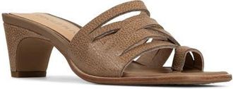 Donald J Pliner Dayvi Toe Loop Sandal in Tobacco at Nordstrom, Size 7.5