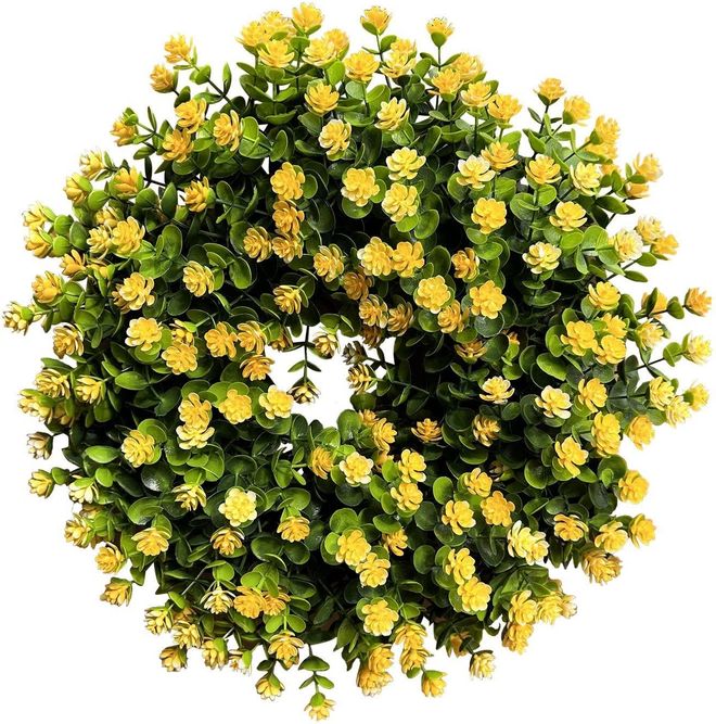 cannabis blumenkasten Green Home Cannabis Anbau Set main image 0