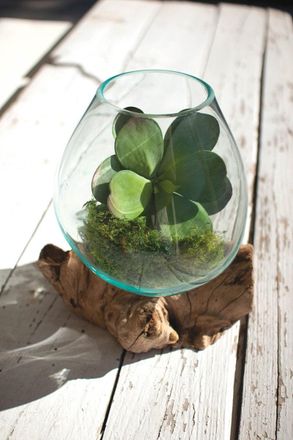 Kalalou Blown Glass Bowl On Driftwood Base - Large