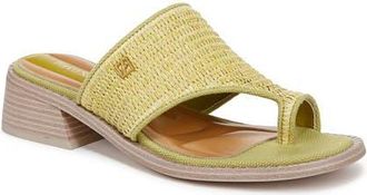 Franco Sarto Sia Slide Sandal in Green at Nordstrom, Size 8.5