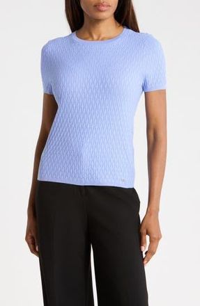 Calvin Klein Textured Short Sleeve Sweater in Spring Mist at Nordstrom Rack, Size X-Large