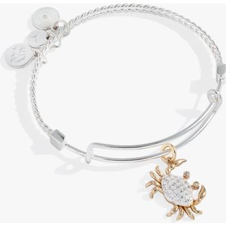 Alex and Ani Textured Crab Charm Bangle in Silver at Nordstrom
