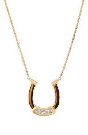 Established Horseshoe Pendant Necklace in Tiger Eye at Nordstrom