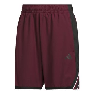 adidas Crazy Lite Shorts Asia Sizing Maroon Black KV9672