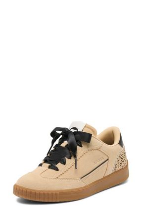 Sorel Ona Drift LX Sneaker in Ceramic/Black at Nordstrom, Size 10.5