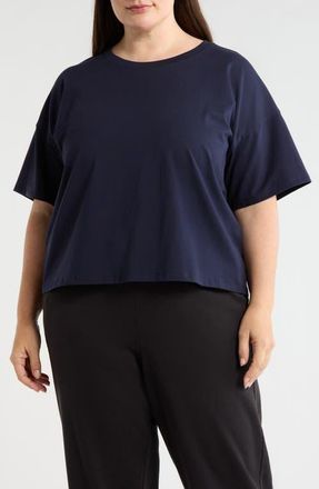Eileen Fisher Boxy Crewneck T-Shirt in Ink at Nordstrom, Size 2 X