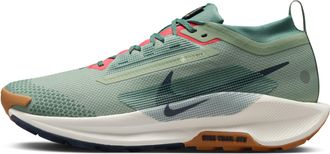 Nike Pegasus Trail 5 Gore-Tex Jade Horizon FQ0908-300