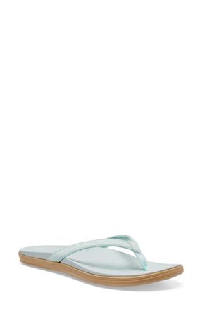 Sanuk Wave Whisper Flip Flop in Spa Blue at Nordstrom, Size 11