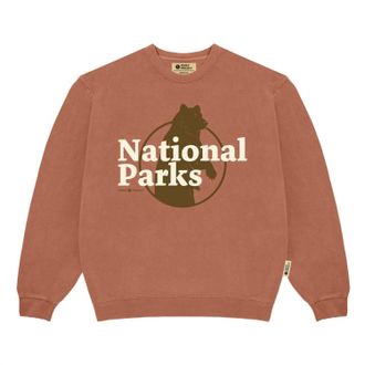 Parks Project Womens Our National Parks Puff Print Crew Sweater In Rust