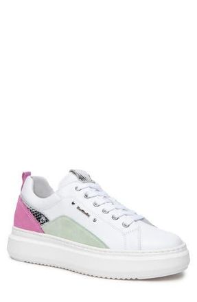 Nero Giardini Retro Colorblock Platform Sneaker in White at Nordstrom Rack, Size 10Us / 40Eu
