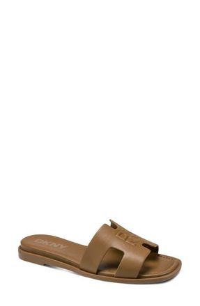 DKNY Columba Slide Sandal in Amber at Nordstrom, Size 7.5