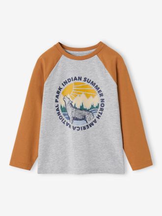 Vertbaudet Jungen Shirt, Raglan&auml;rmel pekannuss