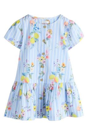 Next Kids Floral Stripe Cotton Button-Up Dress in Blue at Nordstrom, Size 1.5-2Y