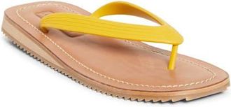 Miu Miu Flip Flop in Gallo at Nordstrom, Size 11Us