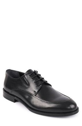 Vella Pais Orla Derby in Black at Nordstrom Rack, Size 13