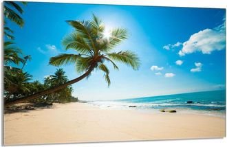 OEM Protector De Cristal Para Encimera 80x52 Beach