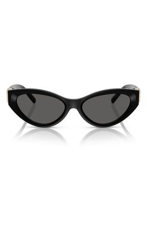 Tiffany & Co. 54mm Oval Sunglasses in Black at Nordstrom