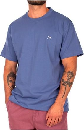 Iriedaily Mini Flag Relaxed Tee T-Shirt f&uuml;r Herren | blau